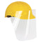 4180AF 19685 Disposable Anti-Fog Face Shield
